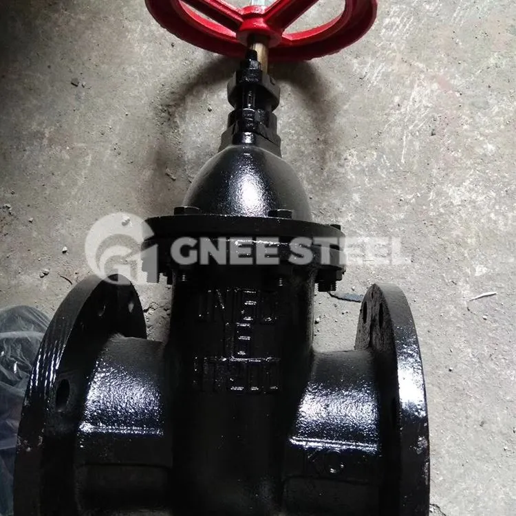 کاسٹ آئرن گیٹ والوز