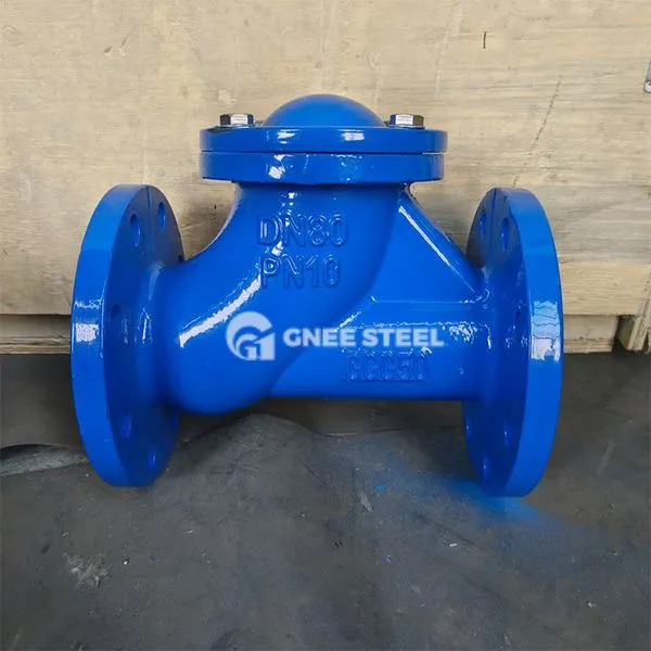 ڈکٹائل آئرن چیک والوز