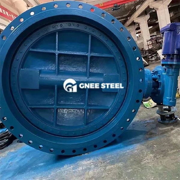 ڈکٹائل آئرن ڈبل فلانجڈ تتلی والو