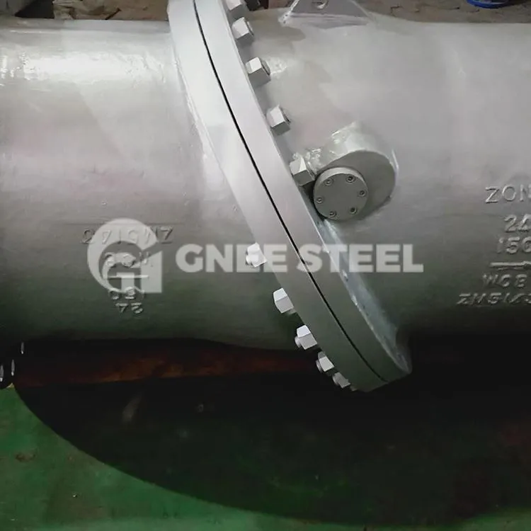 Flanged Tilting ڈسک چیک والوز