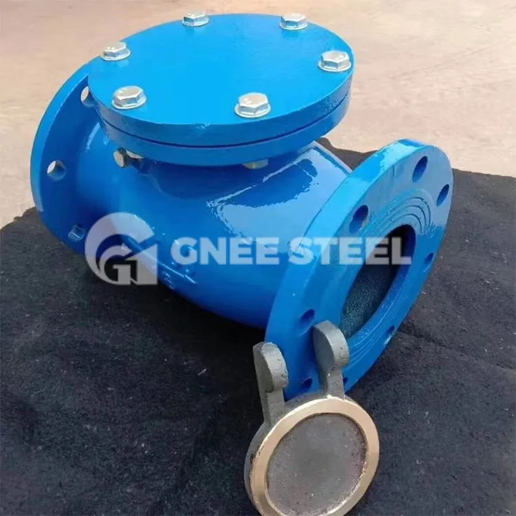 مکمل پورٹ سوئنگ چیک والوز