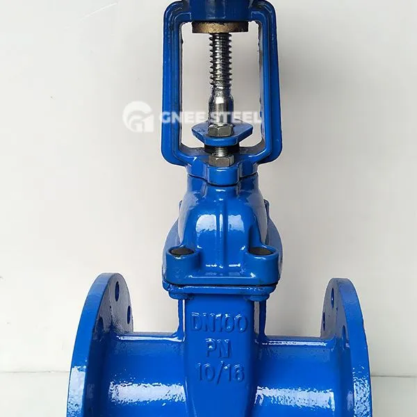 لچکدار سیٹ گیٹ والوز