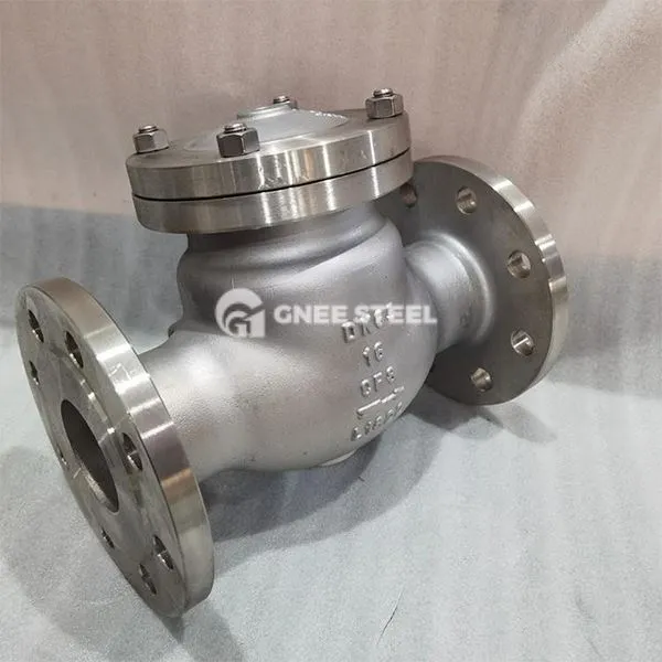 سٹینلیس سٹیل کریوجینک چیک والوز